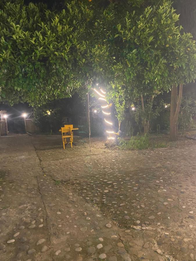 Maguli Home גוניו מראה חיצוני תמונה